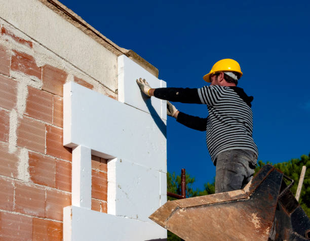 Best Insulation for New Construction  in Hurley, MS